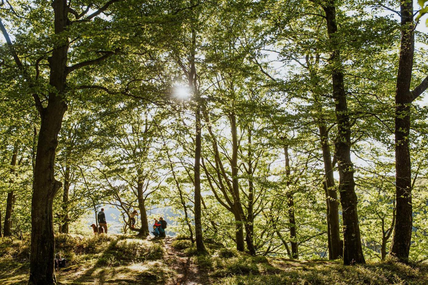 Stf Villa Soederasen B&B Röstånga Buitenkant foto